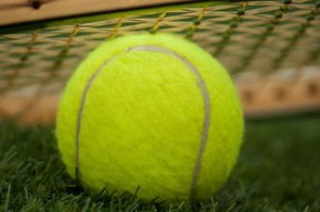 爱游戏在线服务-刷新纪录首场状态出色，独行侠观众沸腾！费德勒重返赛场比赛高潮迭起